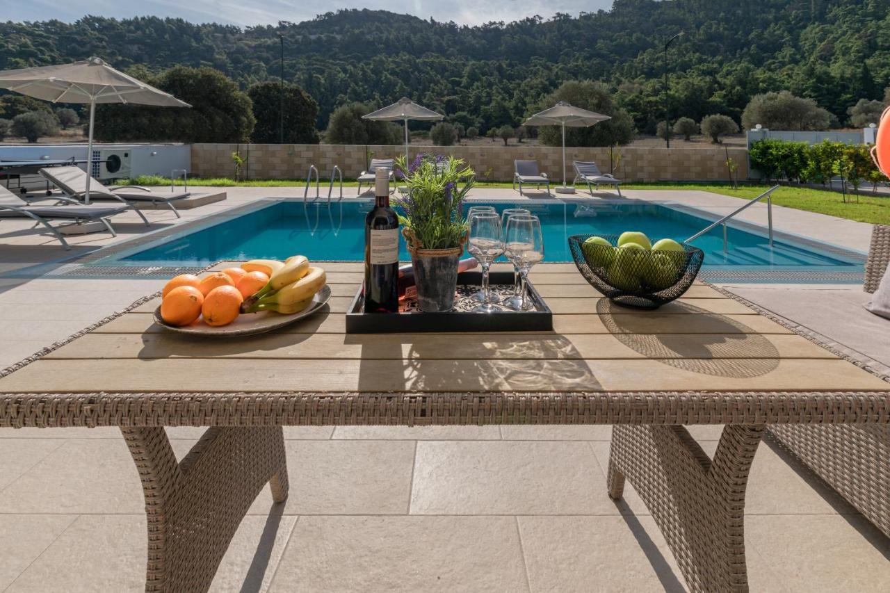 Paleos Hillside Villa *